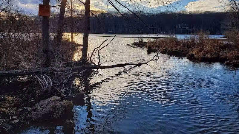 Tinkerville Brook Preserve - Ashford, CT