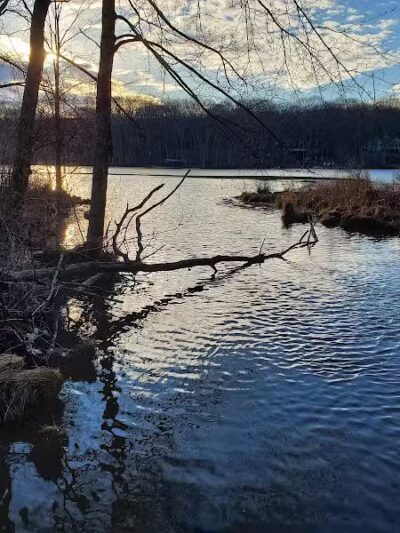 Tinkerville Brook Preserve - Ashford, CT