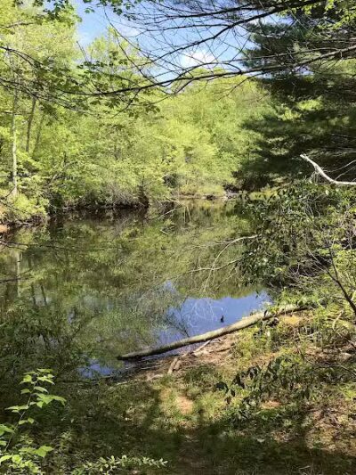 Tinkerville Brook Preserve - Ashford, CT