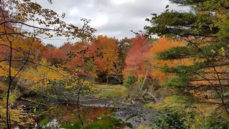Tinkerville Brook Preserve - Ashford, CT