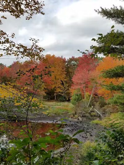 Tinkerville Brook Preserve - Ashford, CT