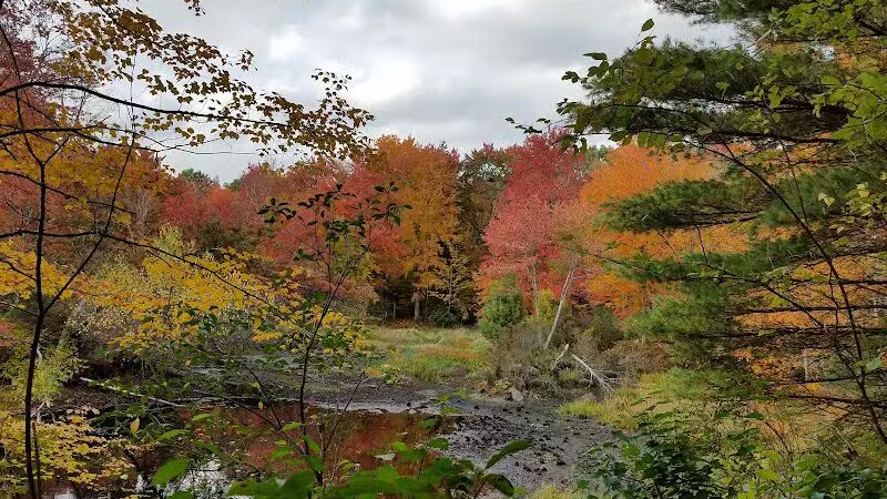 Tinkerville Brook Preserve - Ashford, CT