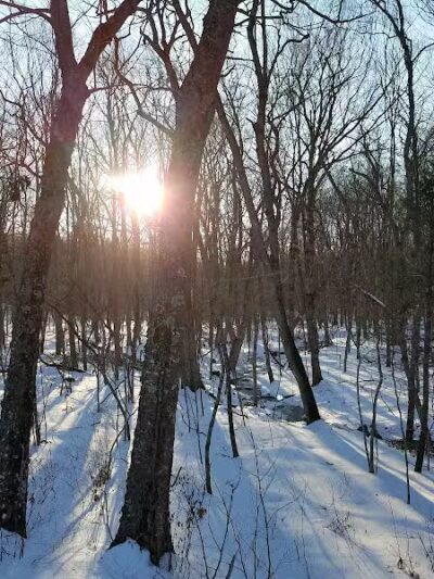 Tinkerville Brook Preserve - Ashford, CT