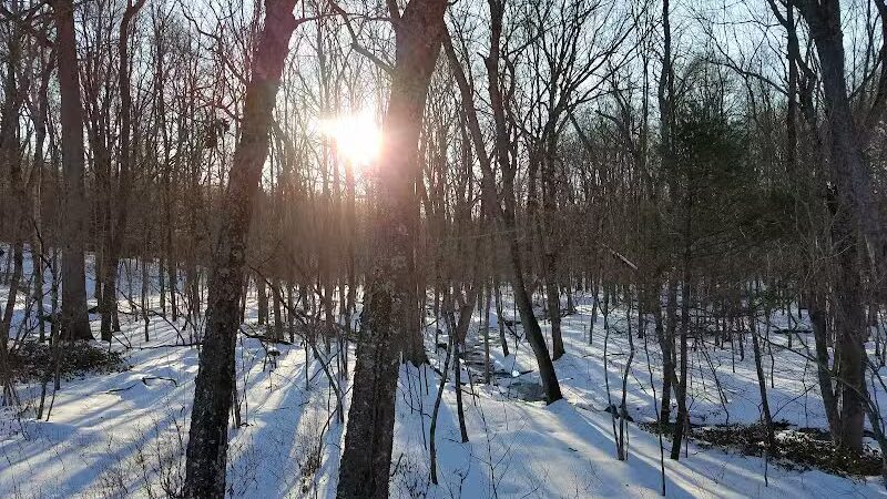 Tinkerville Brook Preserve - Ashford, CT