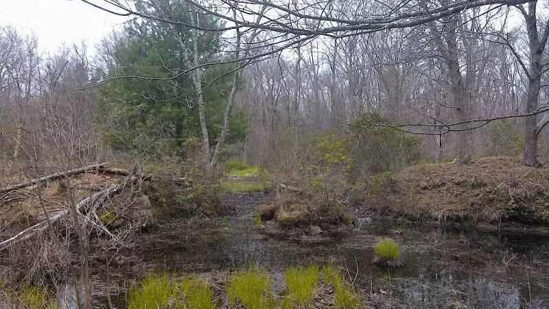 Tinkerville Brook Preserve - Ashford, CT