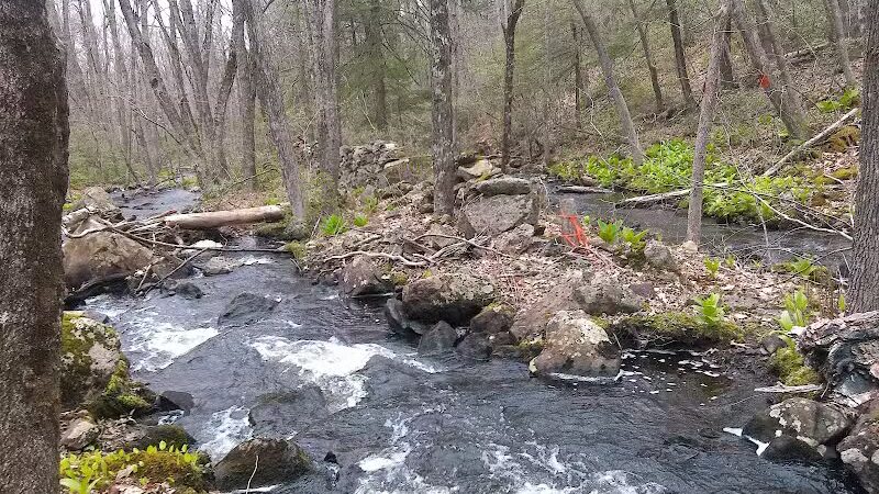 Tinkerville Brook Preserve - Ashford, CT
