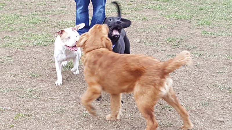 Ashland/Boyd CO Dog Park - Ashland, KY