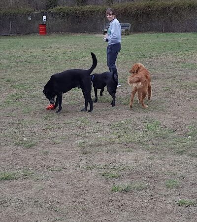 Ashland/Boyd CO Dog Park - Ashland, KY