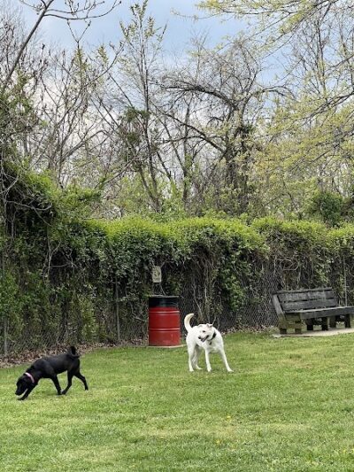 Ashland/Boyd CO Dog Park - Ashland, KY