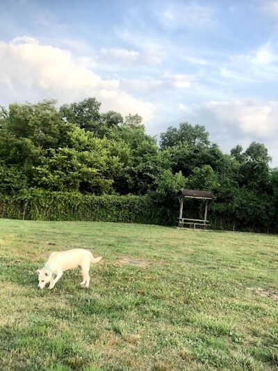 Ashland/Boyd CO Dog Park - Ashland, KY