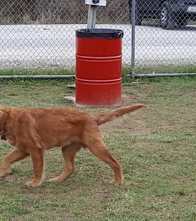Ashland/Boyd CO Dog Park - Ashland, KY