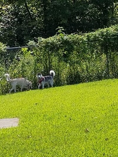 Ashland/Boyd CO Dog Park - Ashland, KY