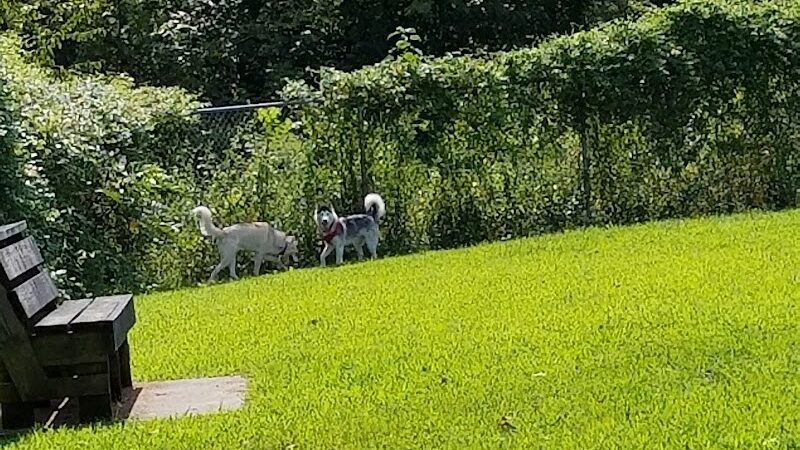 Ashland/Boyd CO Dog Park - Ashland, KY