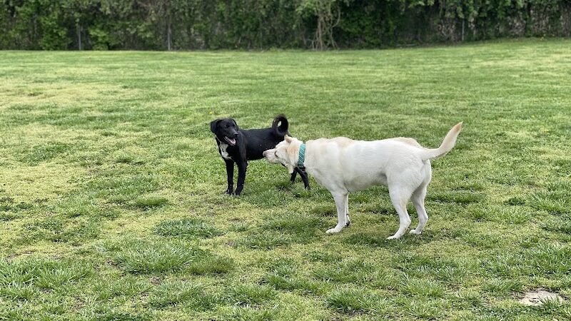 Ashland/Boyd CO Dog Park - Ashland, KY