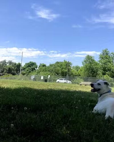 Ashland/Boyd CO Dog Park - Ashland, KY