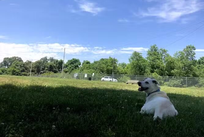 Ashland/Boyd CO Dog Park - Ashland, KY