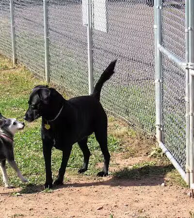 Ashland Dog Park - Ashland, WI