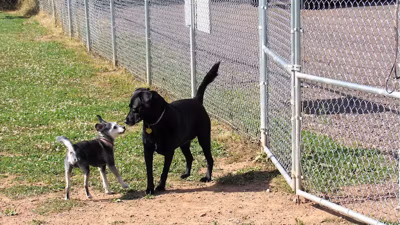 Ashland Dog Park - Ashland, WI