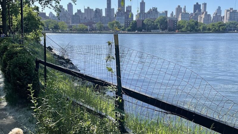 Château le Woof - Astoria, NY