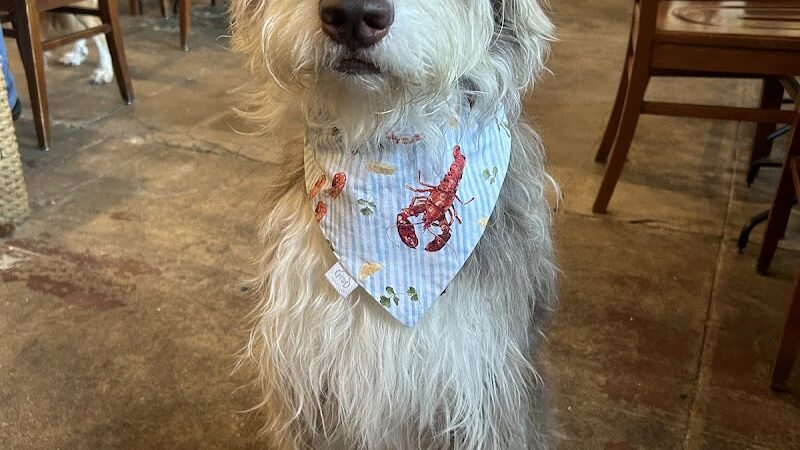 Château le Woof - Astoria, NY