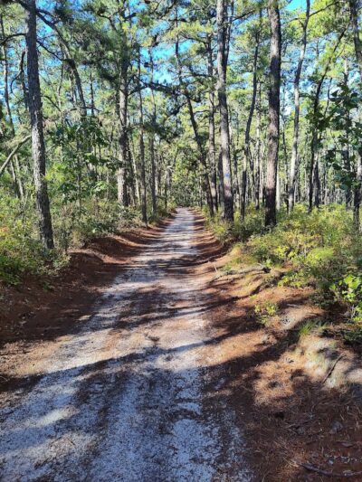 Marilyn Beard Trailhead Park - Atco, NJ