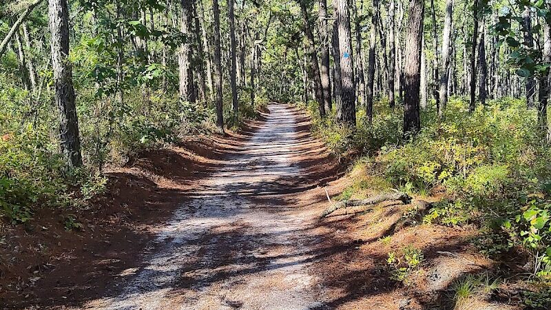 Marilyn Beard Trailhead Park - Atco, NJ