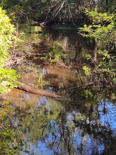Marilyn Beard Trailhead Park - Atco, NJ