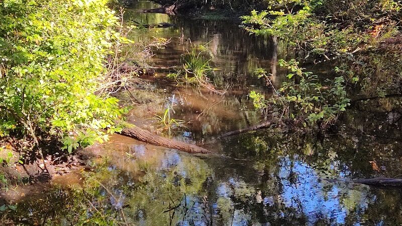 Marilyn Beard Trailhead Park - Atco, NJ