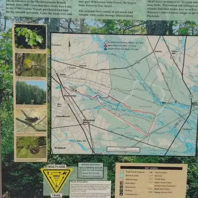 Marilyn Beard Trailhead Park - Atco, NJ