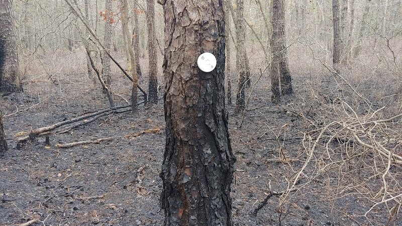 Marilyn Beard Trailhead Park - Atco, NJ