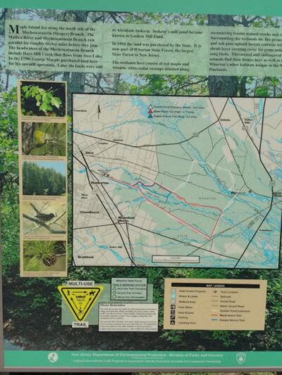 Marilyn Beard Trailhead Park - Atco, NJ