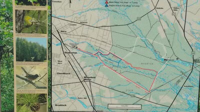 Marilyn Beard Trailhead Park - Atco, NJ