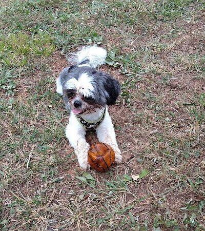 Prof Park Dog Park - Athens, TN