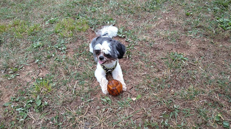 Prof Park Dog Park - Athens, TN