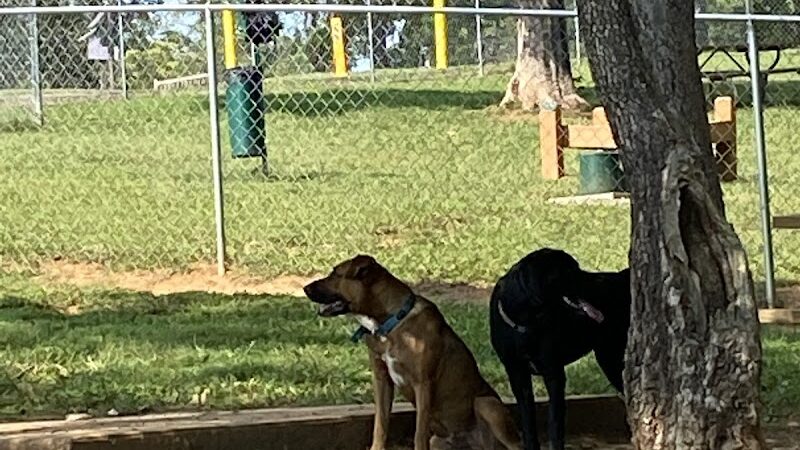 Prof Park Dog Park - Athens, TN