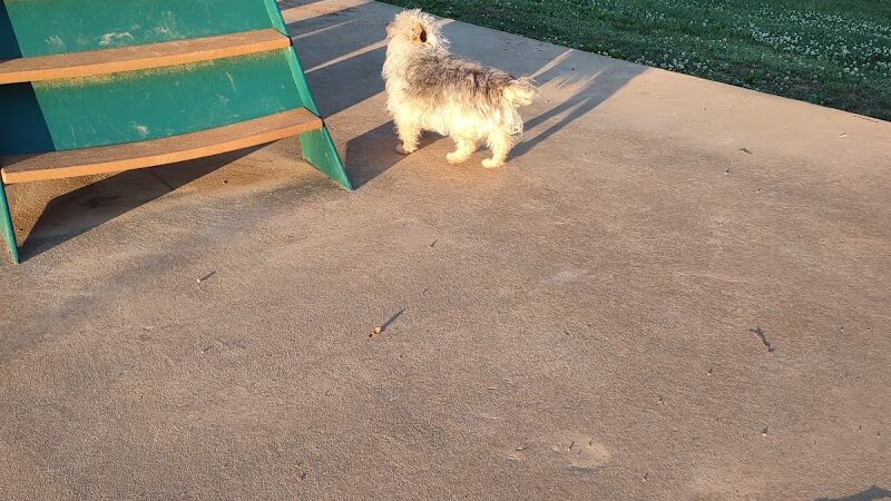 Prof Park Dog Park - Athens, TN