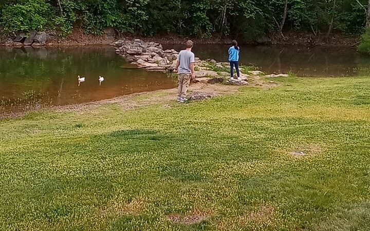 Prof Park Dog Park - Athens, TN