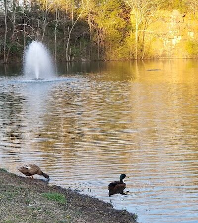 Knox Park - Athens, TN