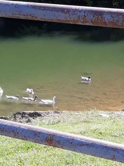 Knox Park - Athens, TN