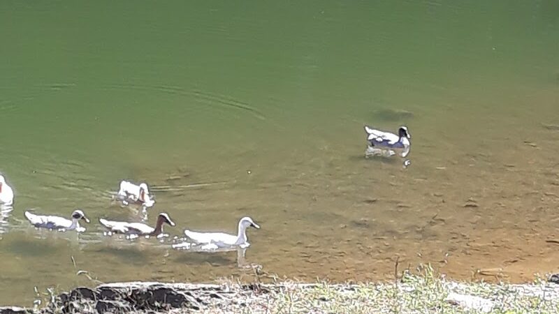 Knox Park - Athens, TN