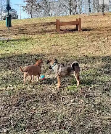 Knox Park - Athens, TN