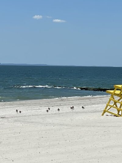 EAST ATLANTIC BEACH PARK - Atlantic Beach, NY