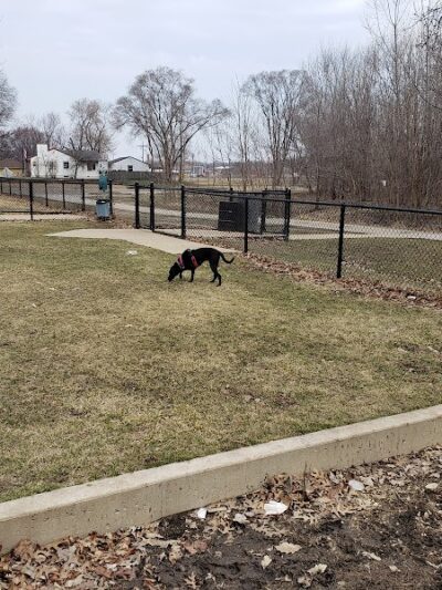 Dog Park at Phillips Park - Aurora, IL