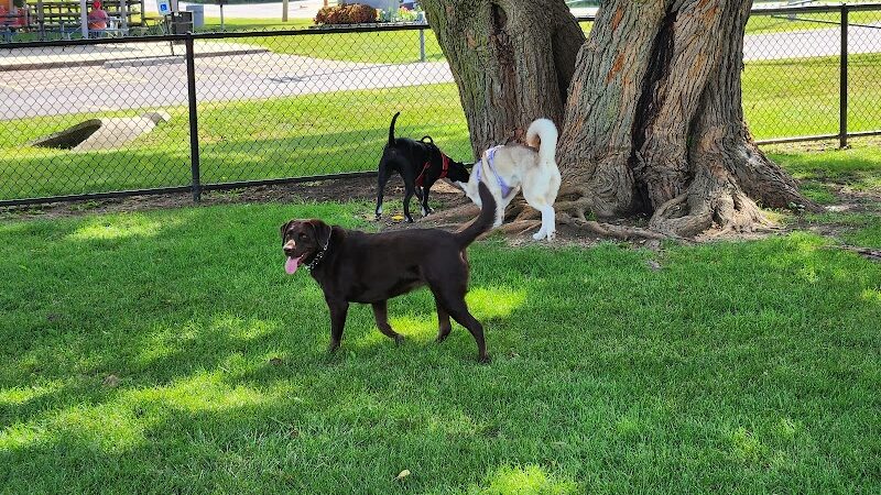 Dog Park at Phillips Park - Aurora, IL