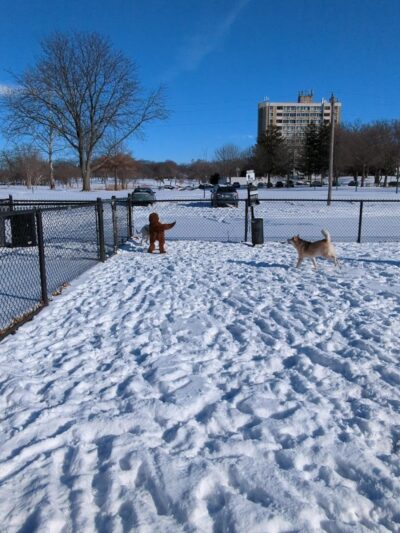 Dog Park at Phillips Park - Aurora, IL
