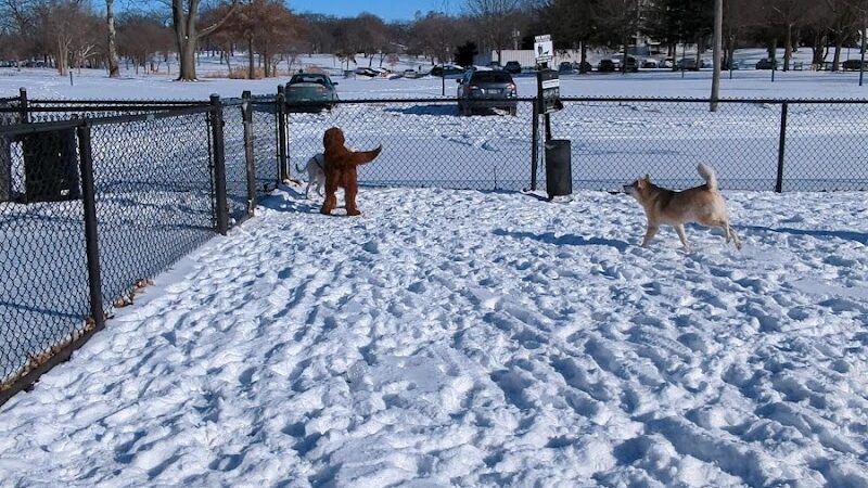 Dog Park at Phillips Park - Aurora, IL