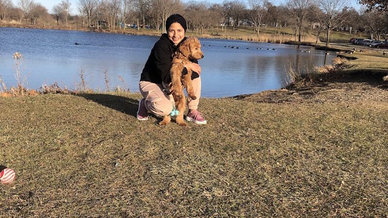 Dog Park at Phillips Park - Aurora, IL