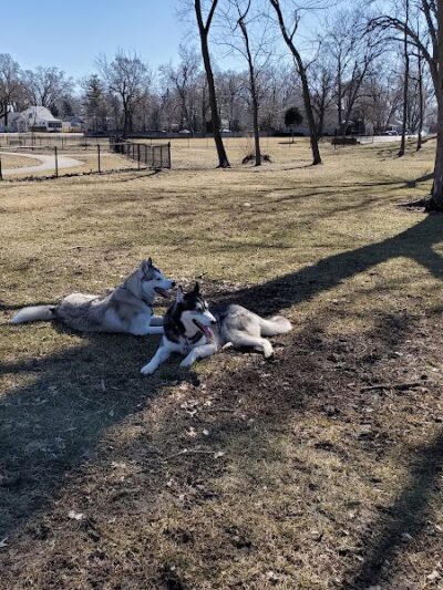 Dog Park at Phillips Park - Aurora, IL