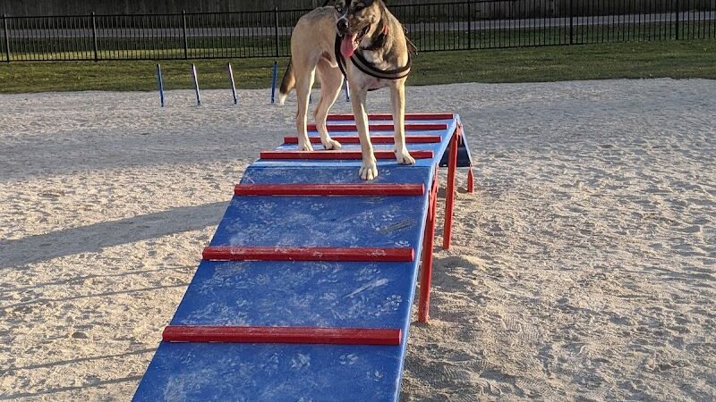 Dog Park at Phillips Park - Aurora, IL
