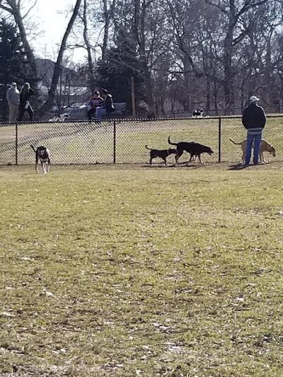 Lincoln Park Dog Park - Aurora, IL